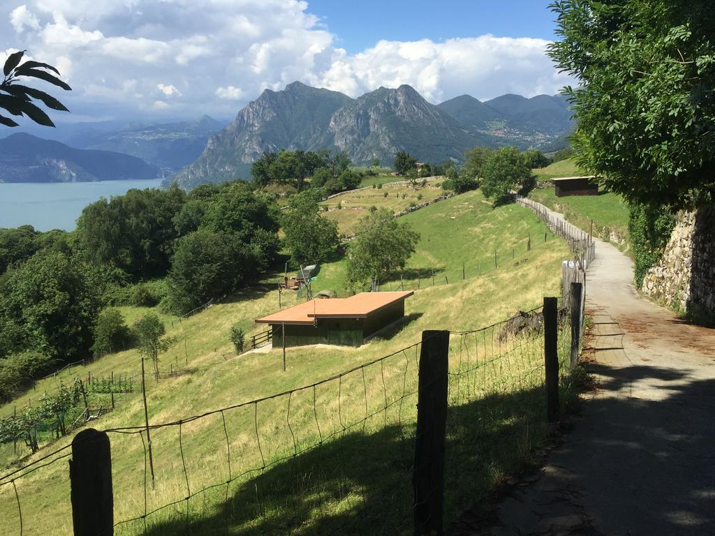 L'Isola Dei Sapori Leilighet Monte Isola Eksteriør bilde